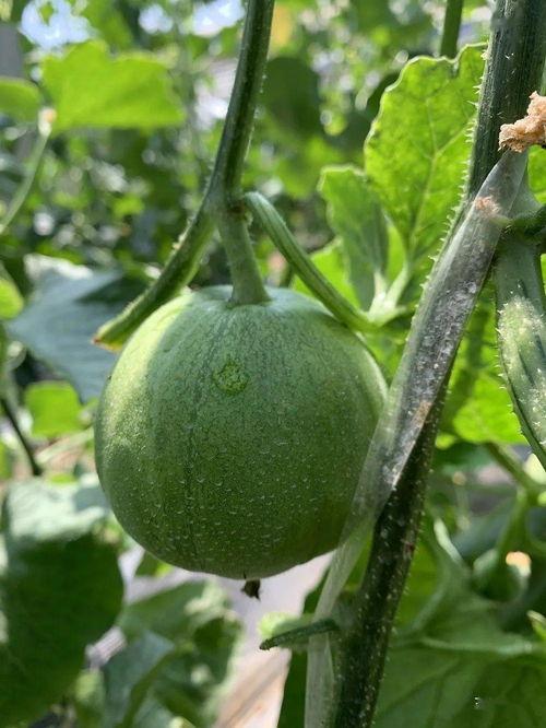 娱乐吃瓜的瓜,揭秘明星幕后故事 第2张 娱乐吃瓜的瓜,揭秘明星幕后故事 第2张